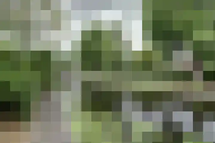 De Liesewey 45 Hendrik-Ido-Ambacht thumbnail 34