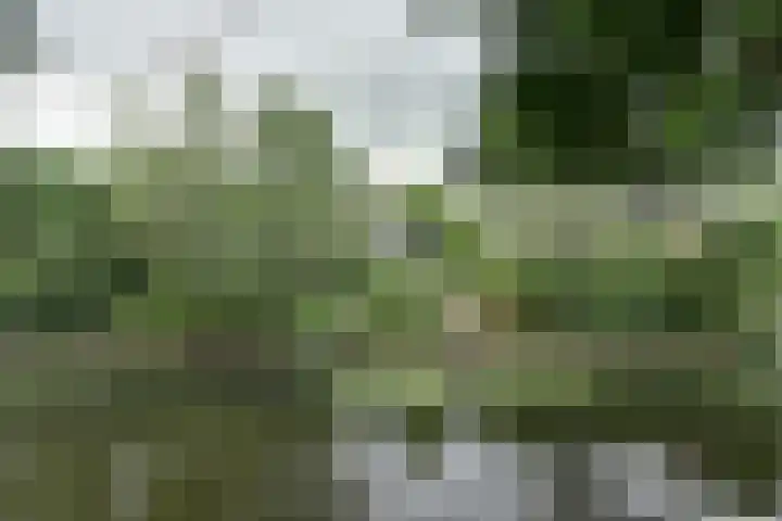 De Liesewey 45 Hendrik-Ido-Ambacht thumbnail 35