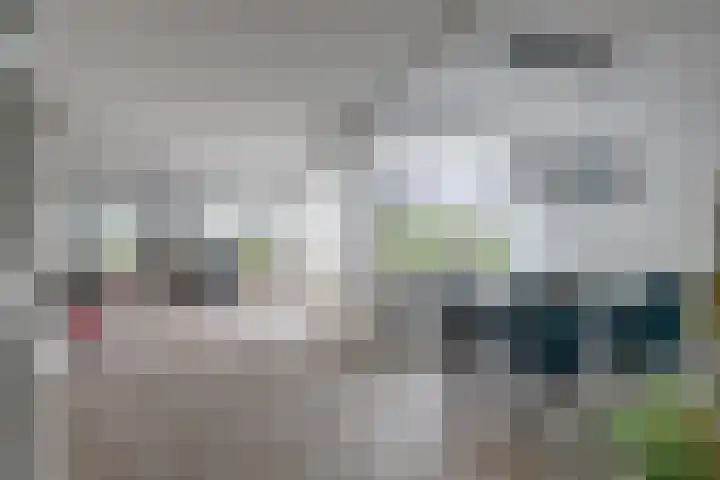 De Liesewey 45 Hendrik-Ido-Ambacht thumbnail 5