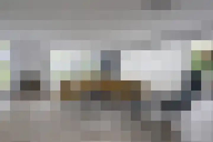 De Liesewey 45 Hendrik-Ido-Ambacht thumbnail 7