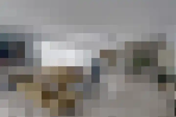 De Liesewey 45 Hendrik-Ido-Ambacht thumbnail 8