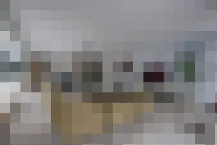 De Liesewey 45 Hendrik-Ido-Ambacht thumbnail 9