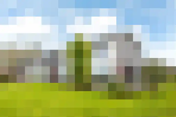 De Liespôle 19 Leeuwarden thumbnail 37
