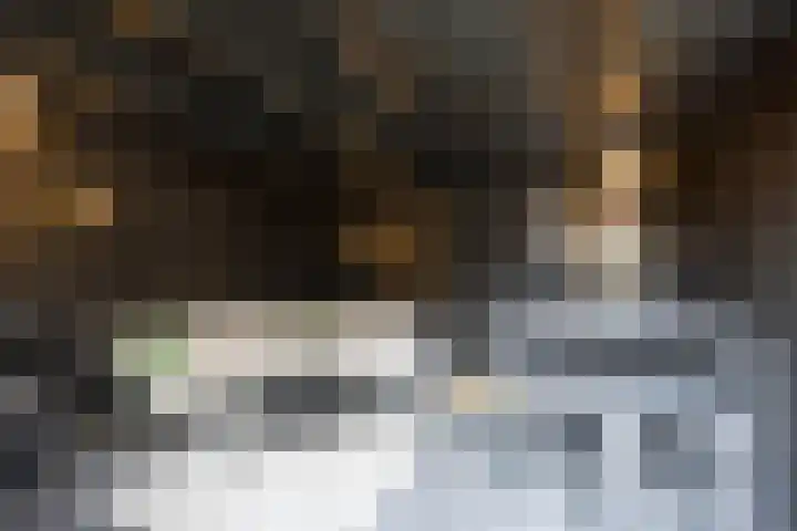 De Lieverhof 49 Nijkerk thumbnail 38