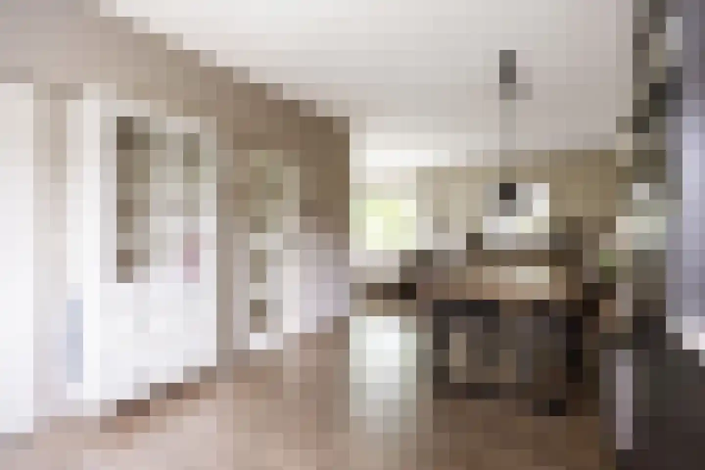 De Lijnbaan 2 Bedum thumbnail 12