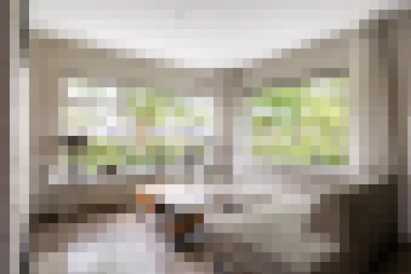 De Lijnbaan 2 Bedum thumbnail 14