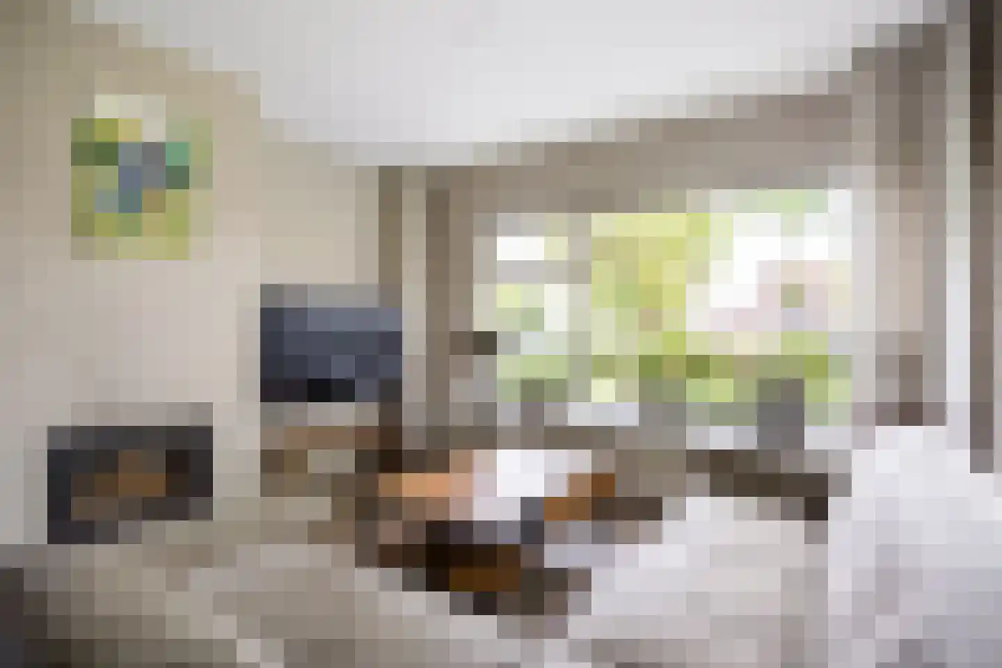 De Lijnbaan 2 Bedum thumbnail 15