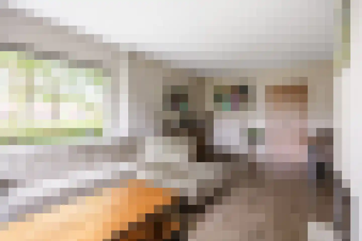 De Lijnbaan 2 Bedum thumbnail 17