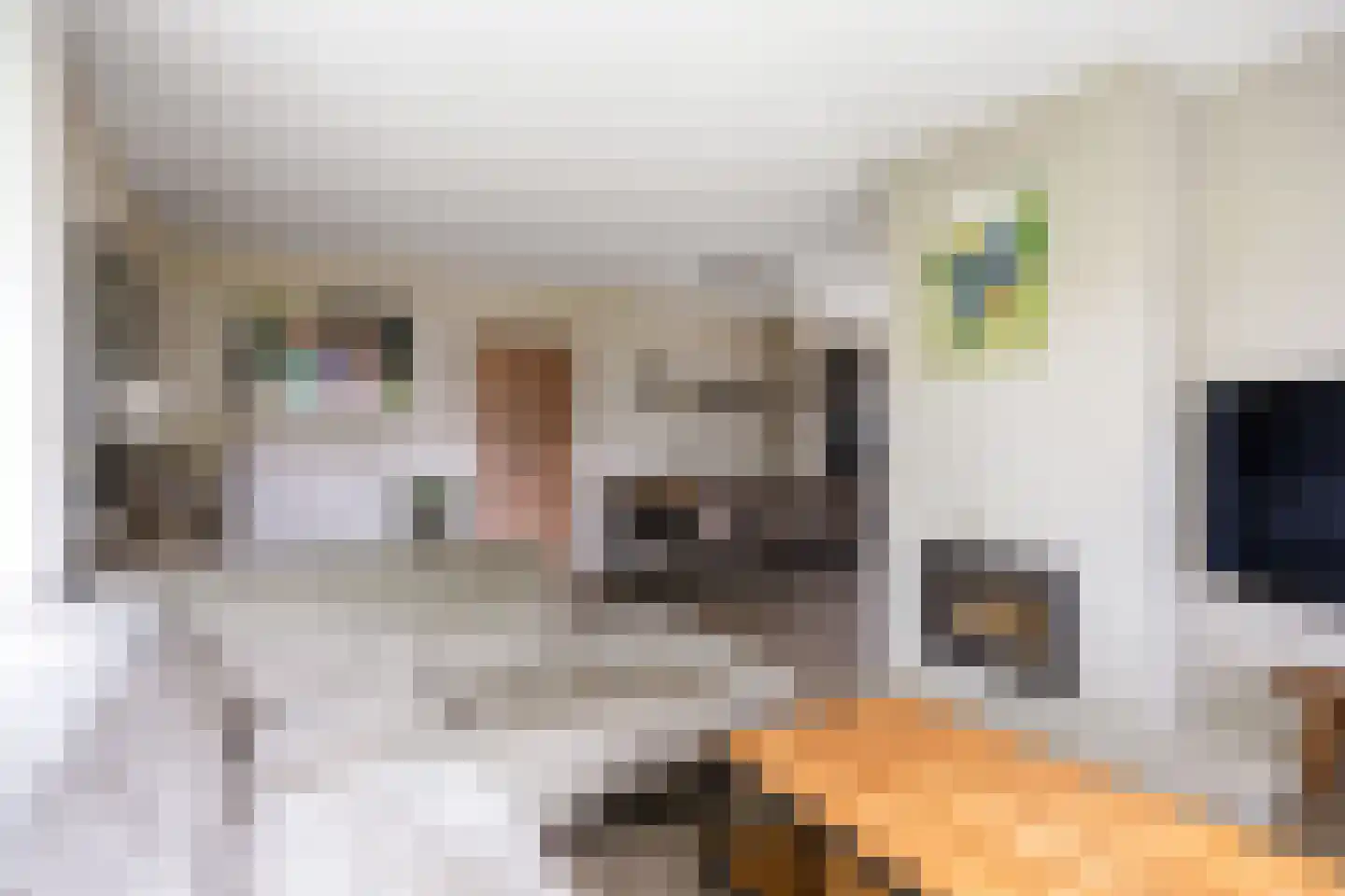 De Lijnbaan 2 Bedum thumbnail 18