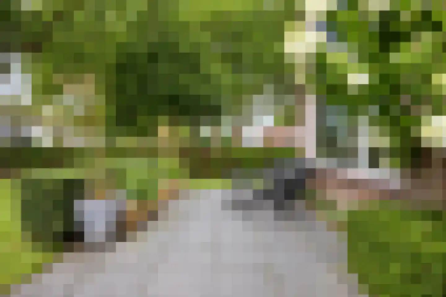 De Lijnbaan 2 Bedum thumbnail 49