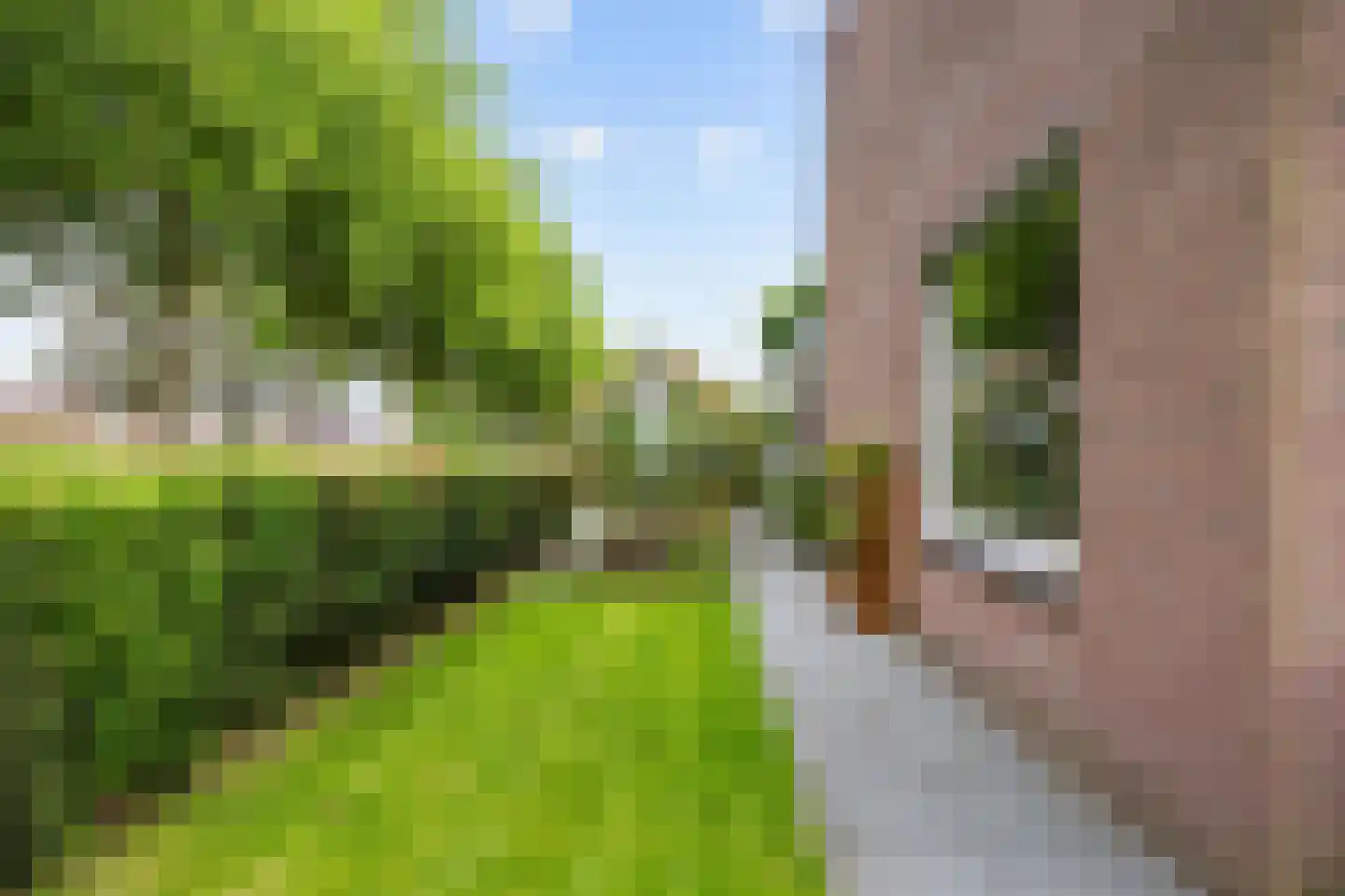 De Lijnbaan 2 Bedum thumbnail 52