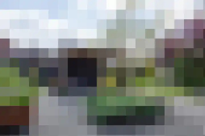 De Lijnbaan 21 Ulrum thumbnail 35