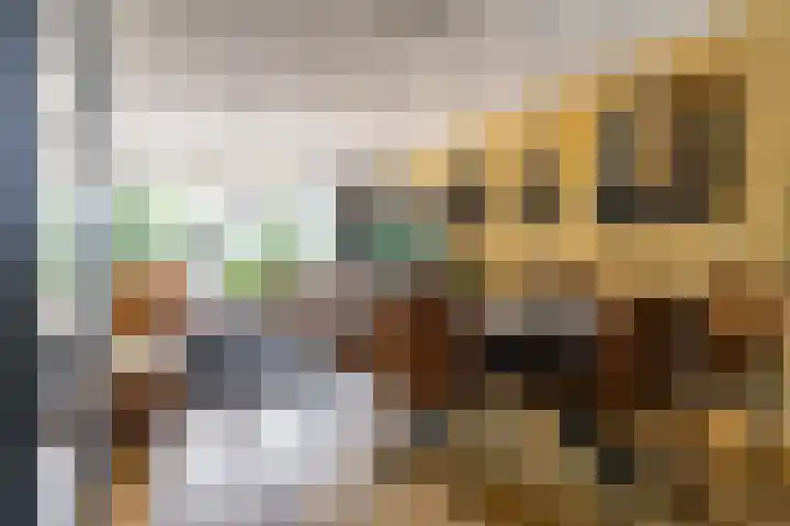 De Lijnbaan 31 Bedum thumbnail 12
