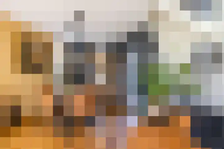 De Lijnbaan 31 Bedum thumbnail 14