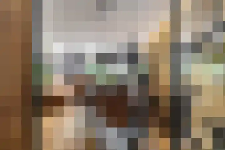 De Lijnbaan 31 Bedum thumbnail 15