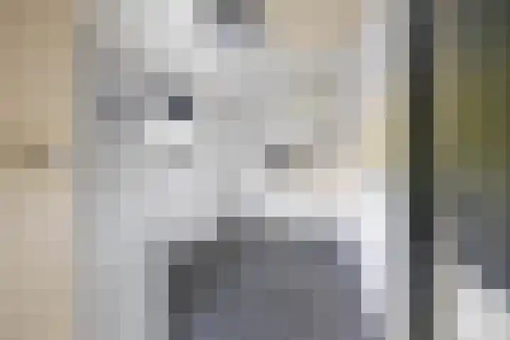 De Lijnbaan 31 Bedum thumbnail 21