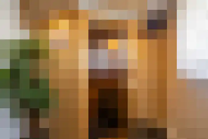 De Lijnbaan 31 Bedum thumbnail 31