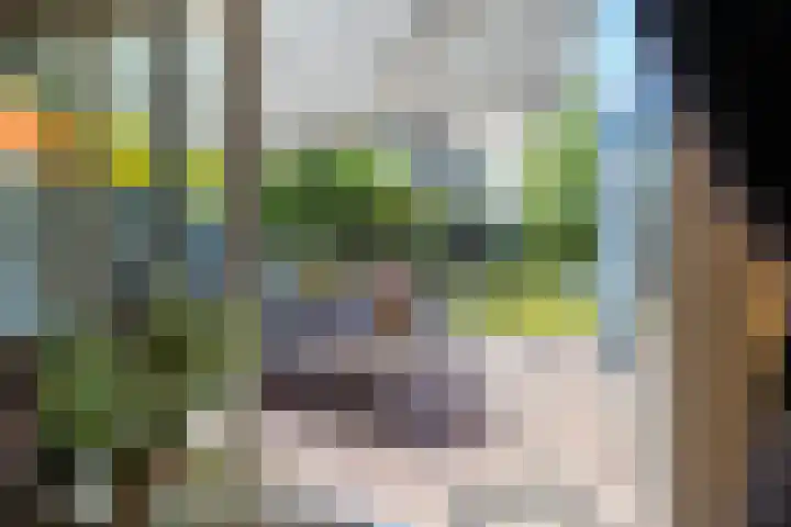 De Lijnbaan 31 Bedum thumbnail 39