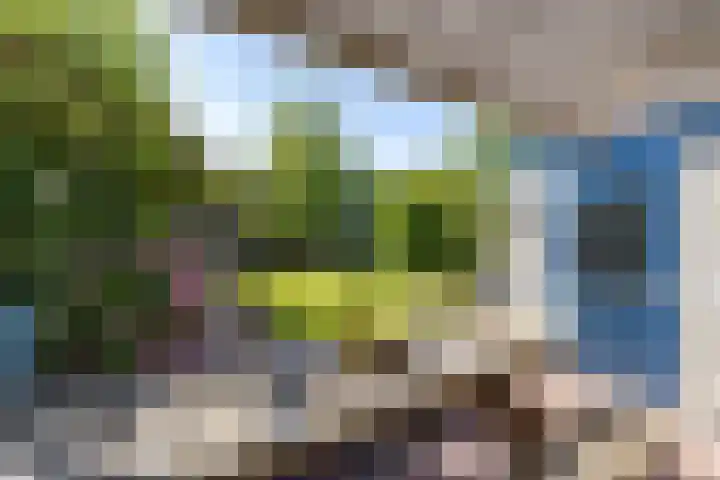 De Lijnbaan 31 Bedum thumbnail 40