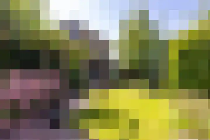 De Lijnbaan 31 Bedum thumbnail 41