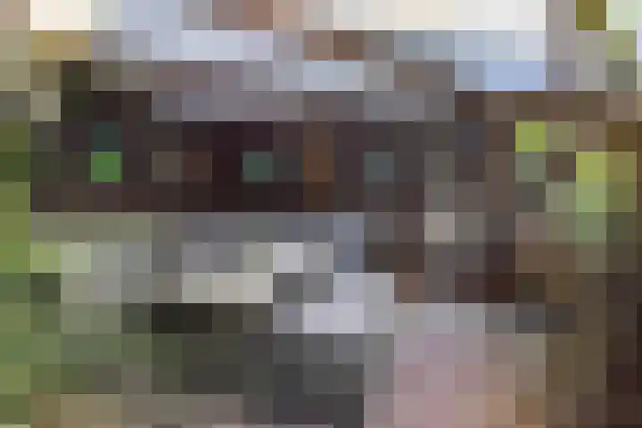 De Lijnbaan 31 Bedum thumbnail 43