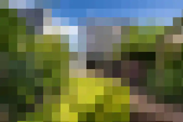 De Lijnbaan 31 Bedum thumbnail 46