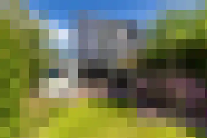 De Lijnbaan 31 Bedum thumbnail 47
