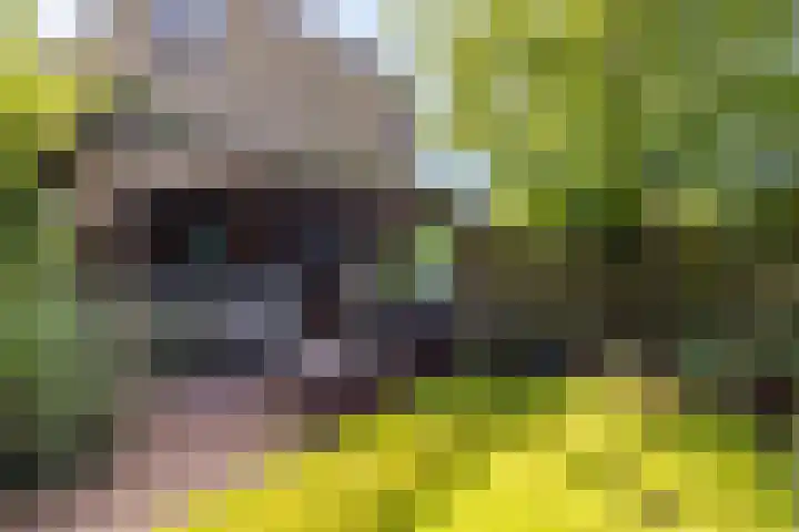 De Lijnbaan 31 Bedum thumbnail 5