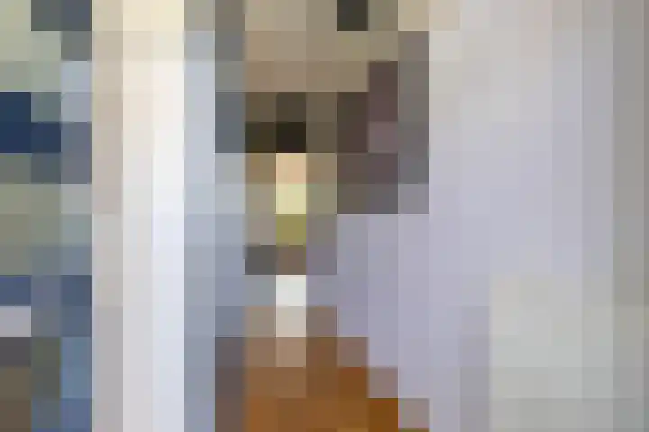 De Lijnbaan 31 Bedum thumbnail 8