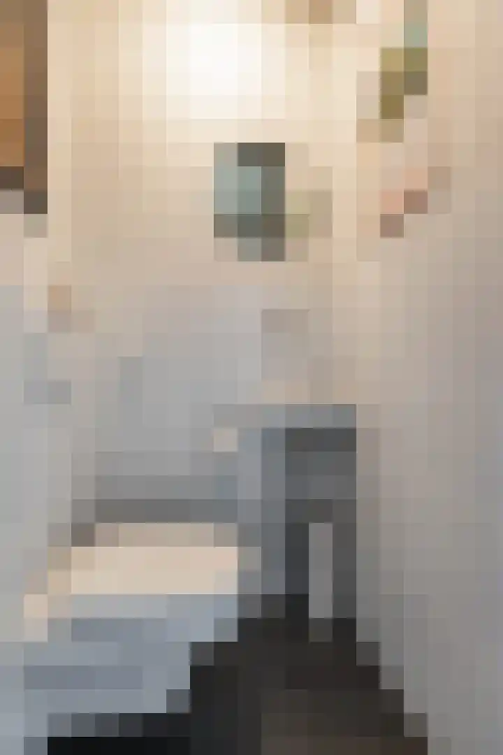 De Lijnbaan 31 Bedum thumbnail 9