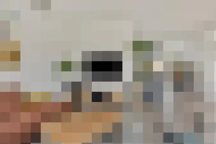 De Lijnbaan 35 Bedum thumbnail 12
