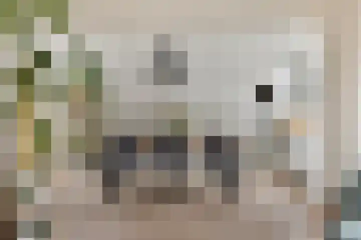 De Lijnbaan 35 Bedum thumbnail 13