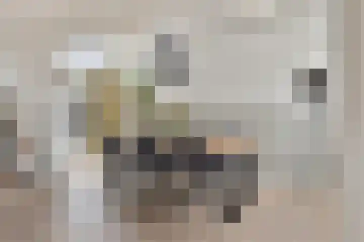 De Lijnbaan 35 Bedum thumbnail 14