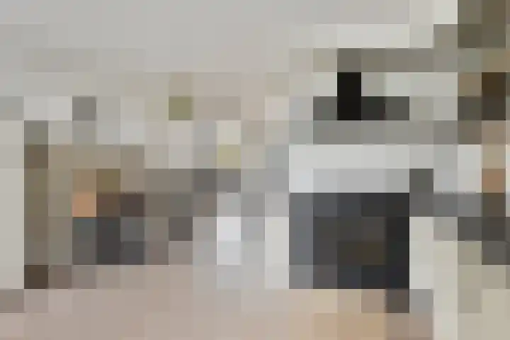 De Lijnbaan 35 Bedum thumbnail 17