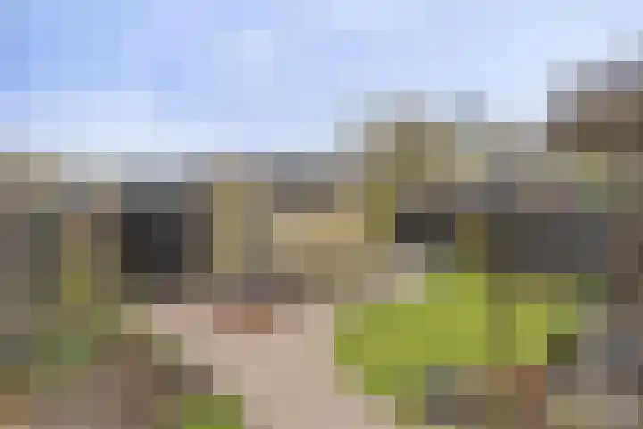 De Lijnbaan 35 Bedum thumbnail 33