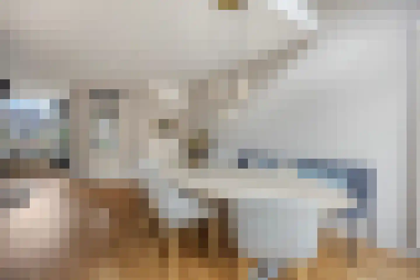 De Lijnbaan 4 Middenbeemster thumbnail 10