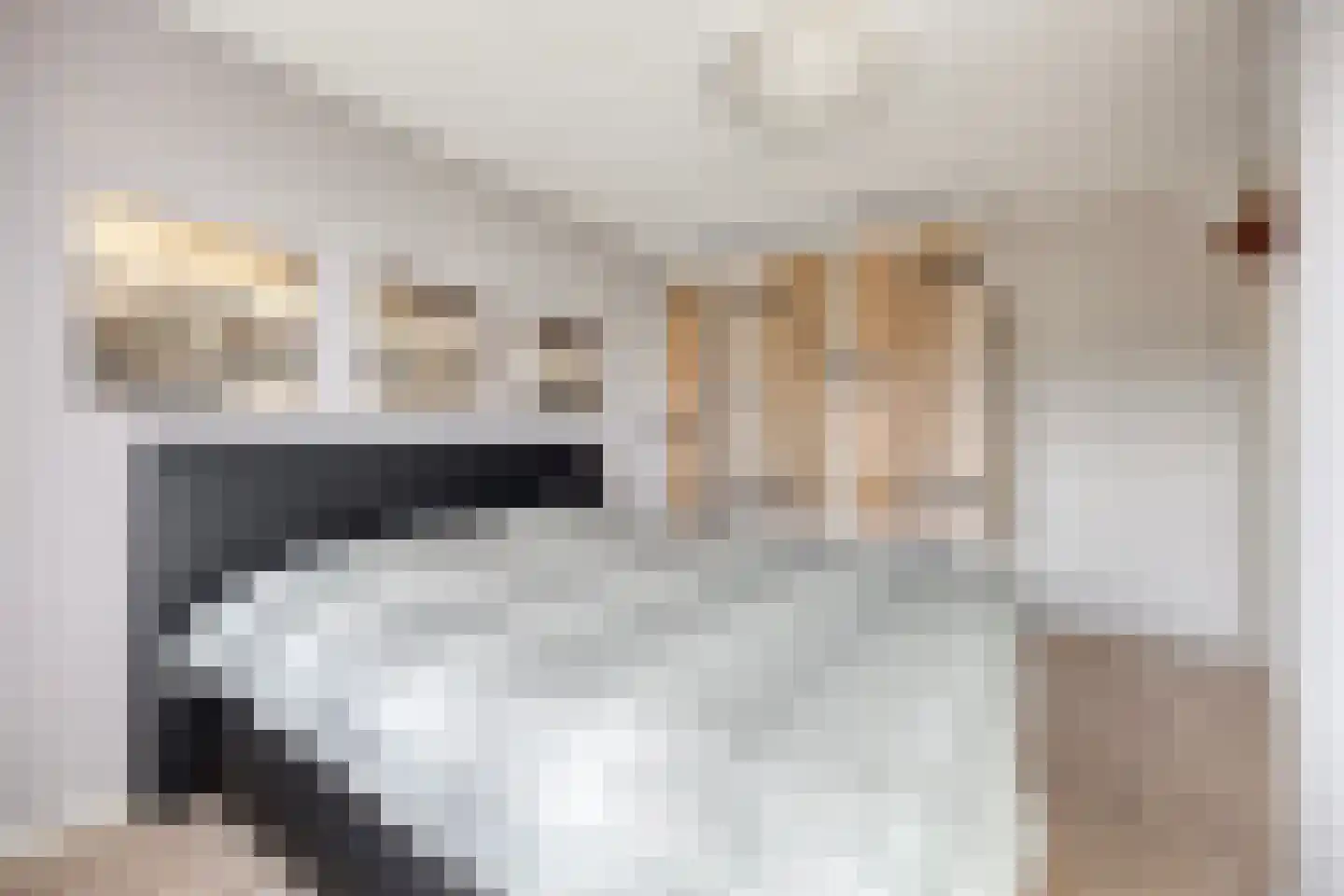 De Lijnbaan 4 Middenbeemster thumbnail 16