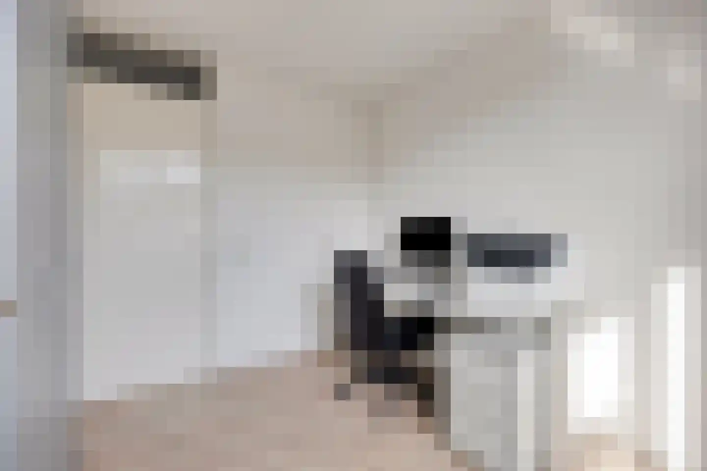 De Lijnbaan 4 Middenbeemster thumbnail 18