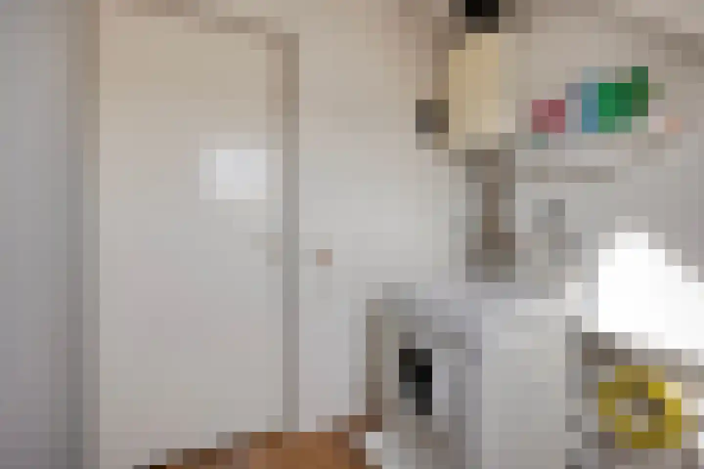 De Lijnbaan 4 Middenbeemster thumbnail 22