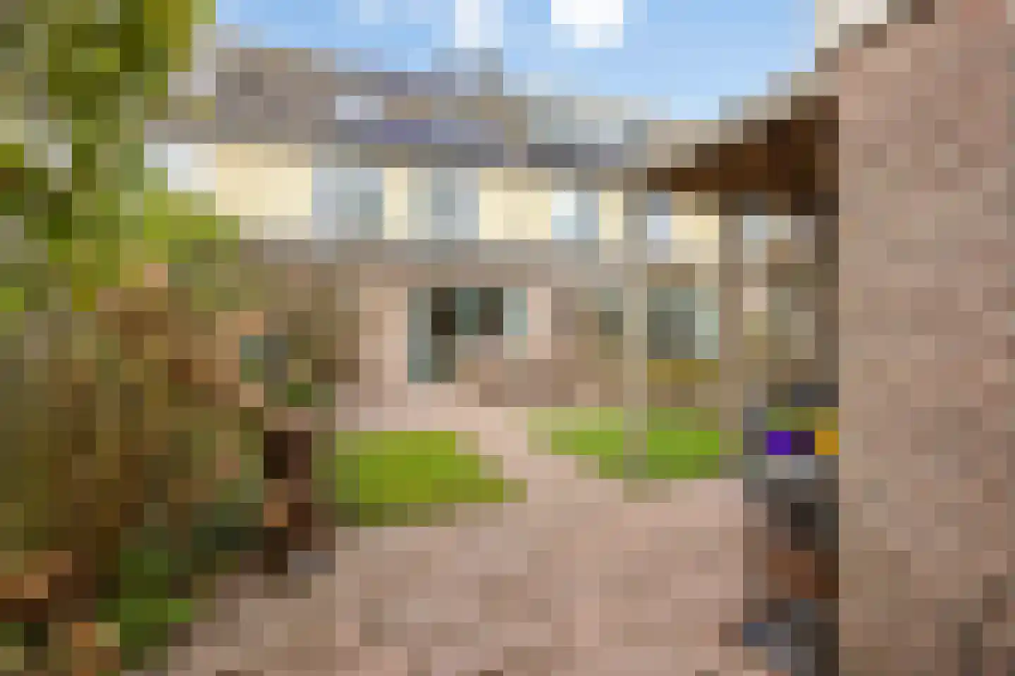 De Lijnbaan 4 Middenbeemster foto 3