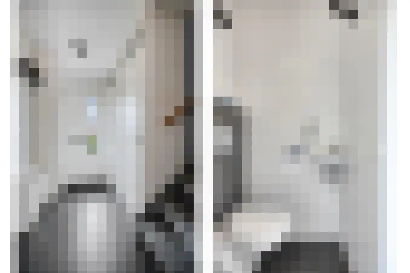De Lijnbaan 4 Middenbeemster thumbnail 6