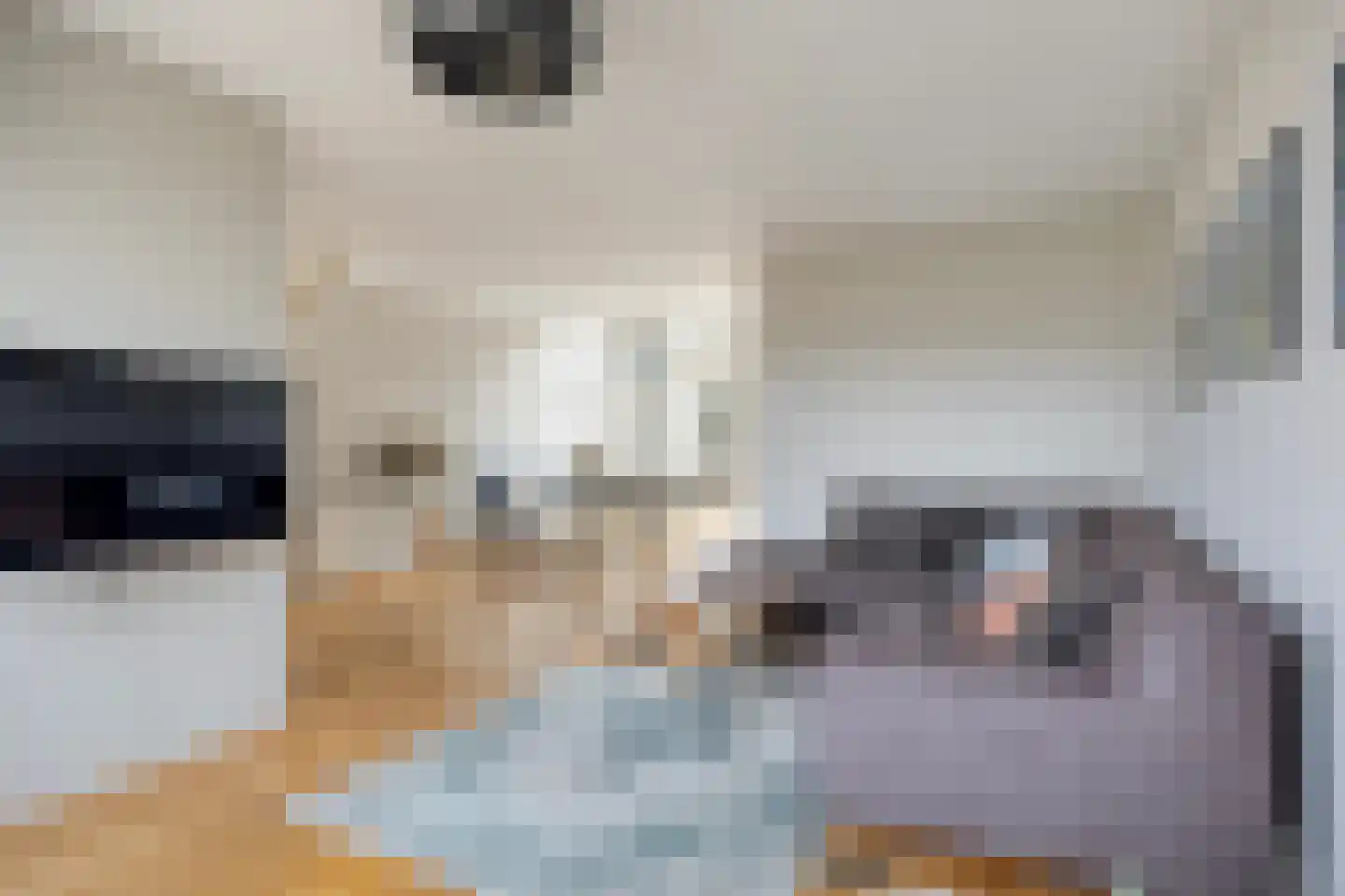 De Lijnbaan 4 Middenbeemster thumbnail 9