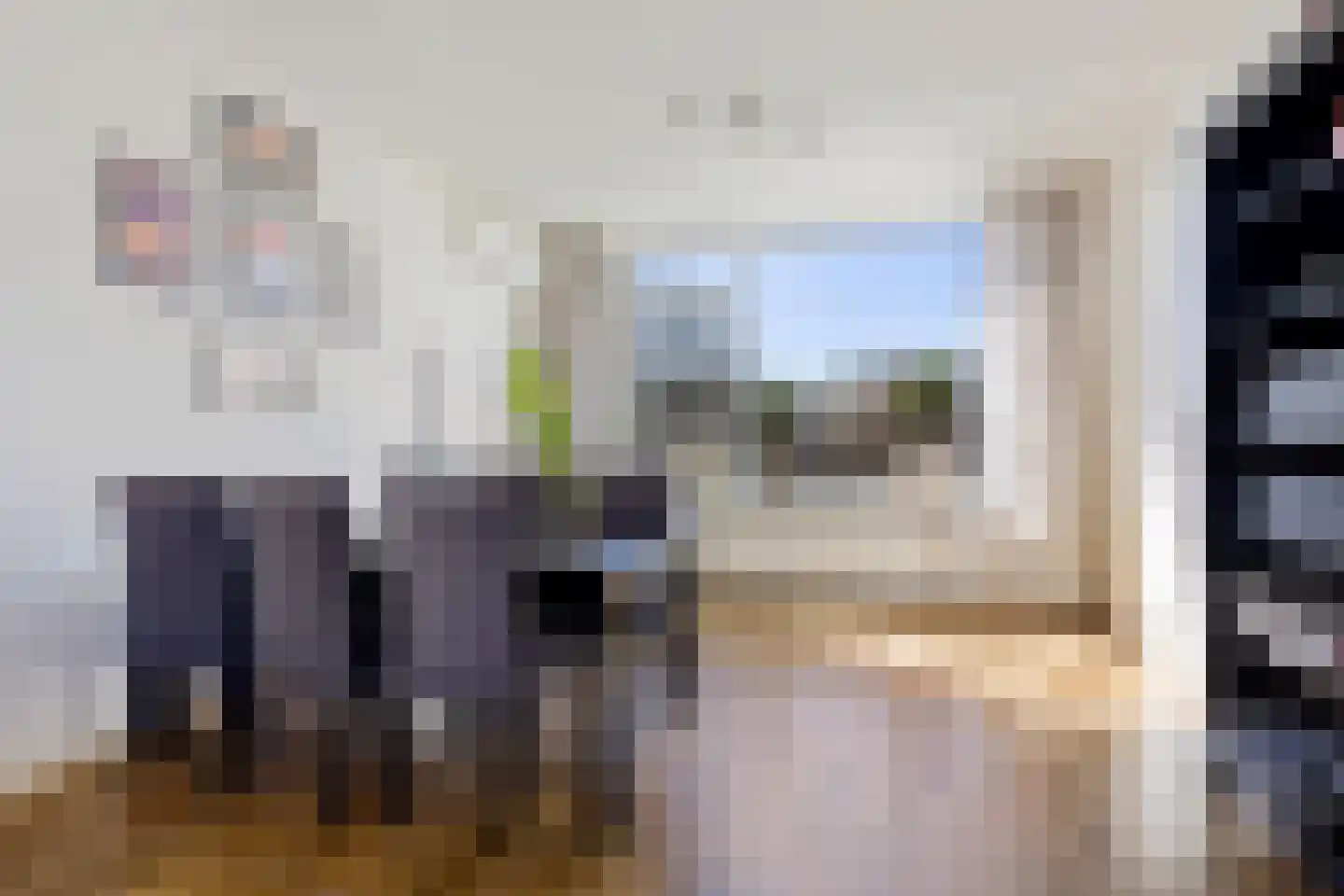 De Lijnbaan 4 Zwartsluis thumbnail 15