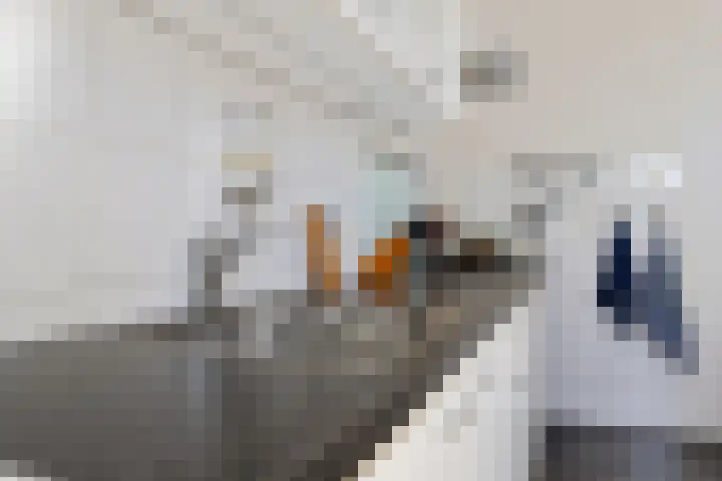 De Lijnbaan 4 Zwartsluis thumbnail 18
