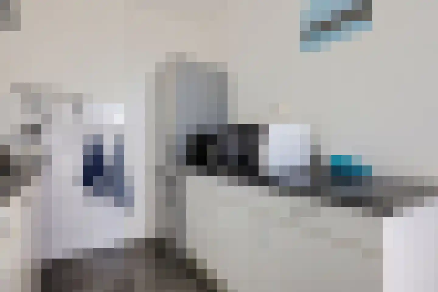 De Lijnbaan 4 Zwartsluis thumbnail 19