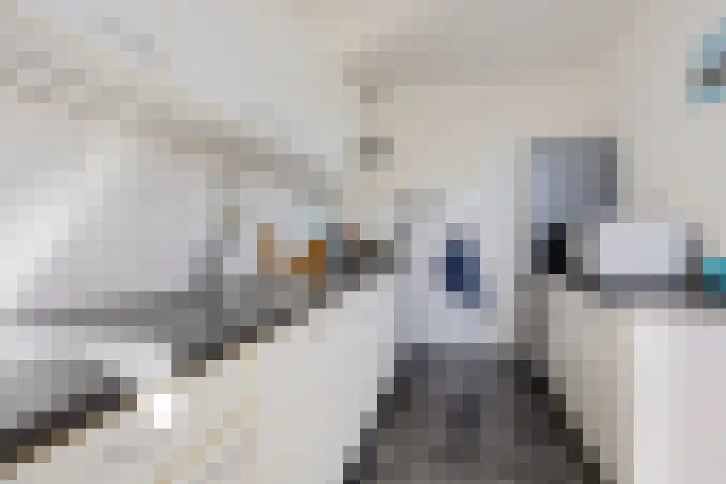 De Lijnbaan 4 Zwartsluis thumbnail 20