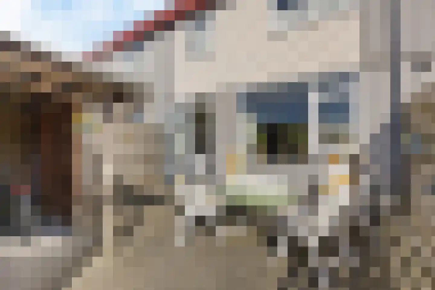 De Lijnbaan 4 Zwartsluis thumbnail 22