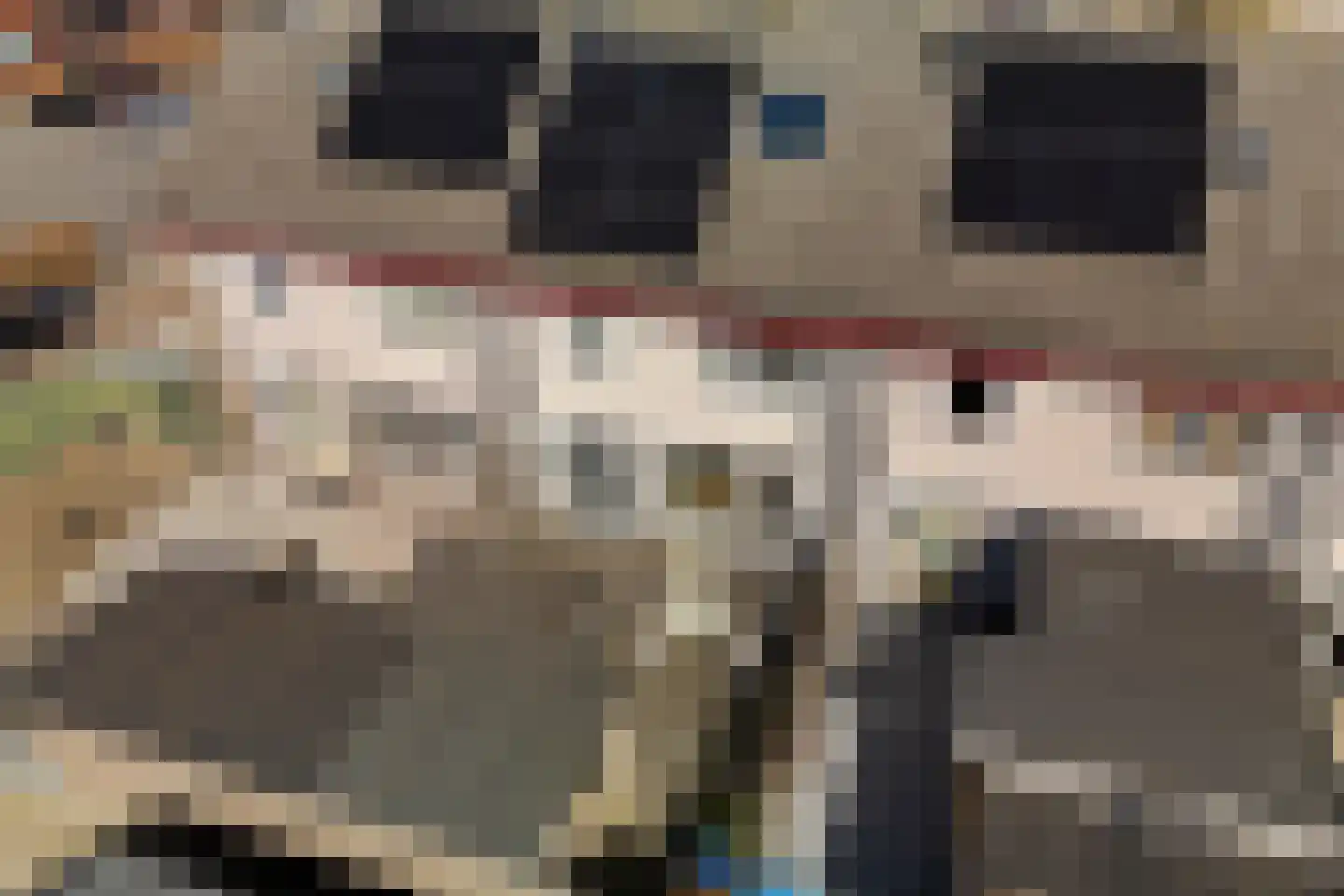 De Lijnbaan 4 Zwartsluis thumbnail 23