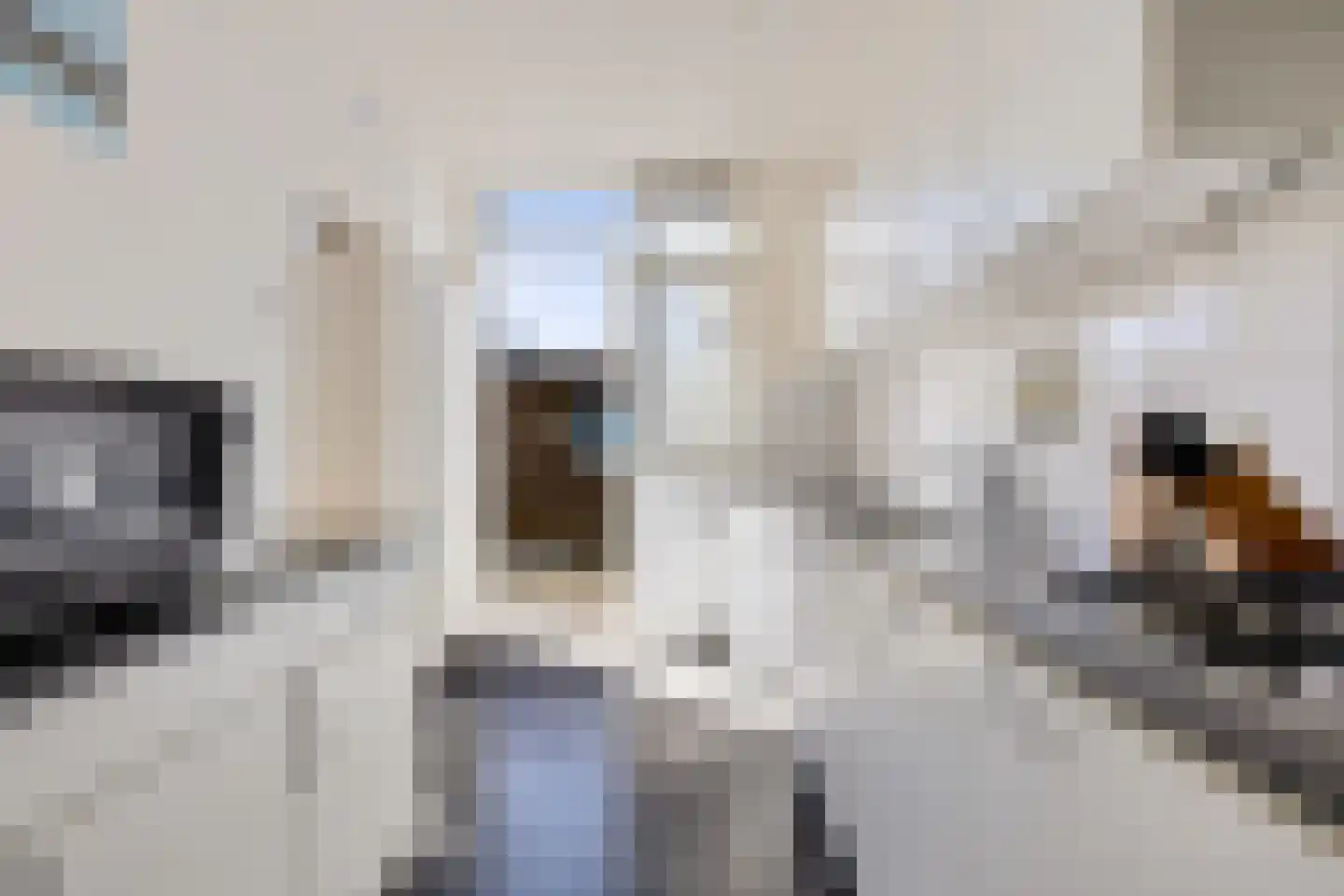 De Lijnbaan 4 Zwartsluis thumbnail 4
