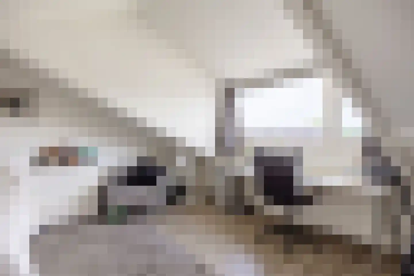 De Lijnbaan 44 Bedum thumbnail 47